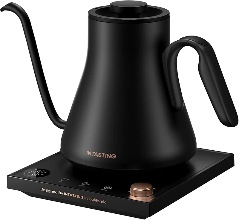 intasting Electric Kettle